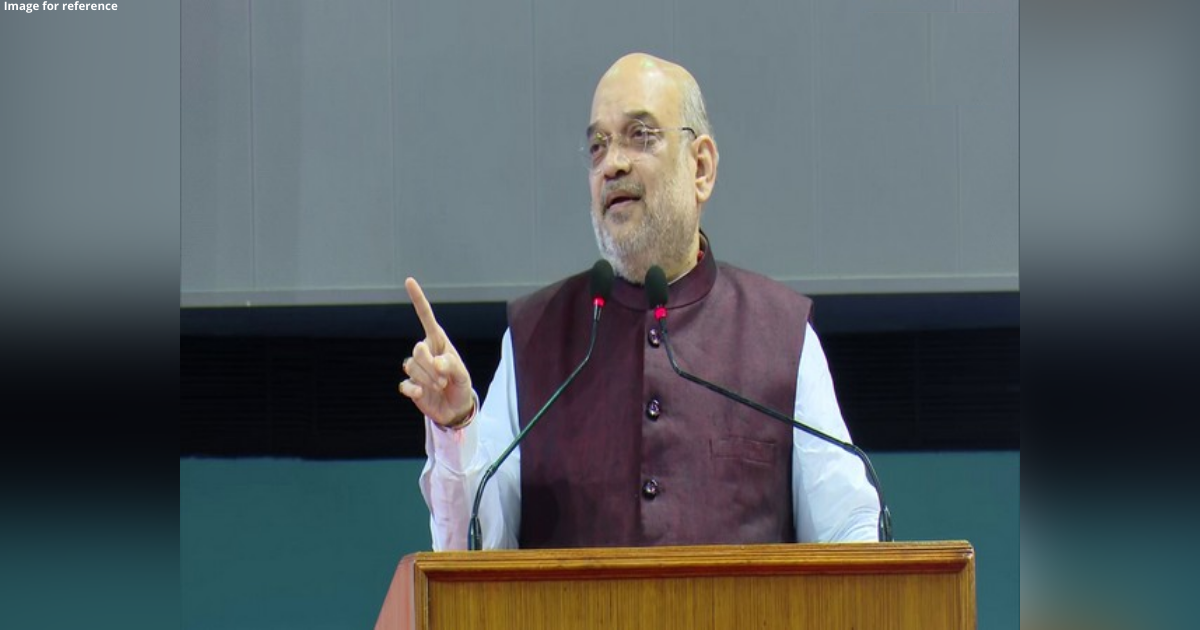 Progress of mother tongue essential for growth of official language: Shah